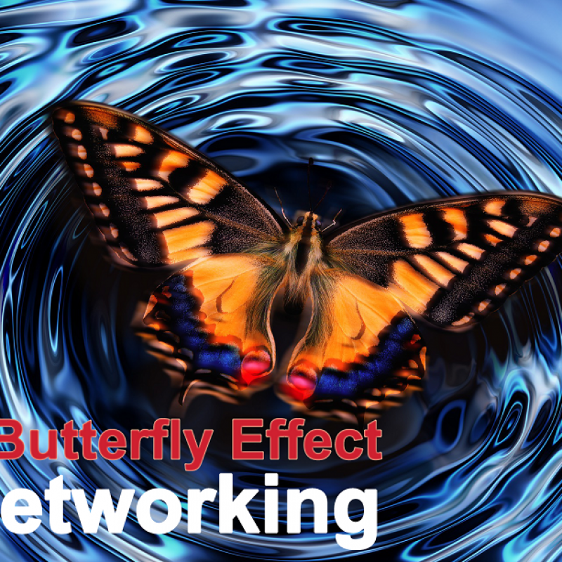 Hiệu ứng cánh bướm kết nối kinh doanh - BNI OK Chapter