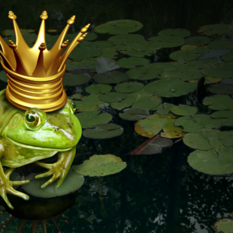 Hoàng tử kết nối và loài ếch kết nối